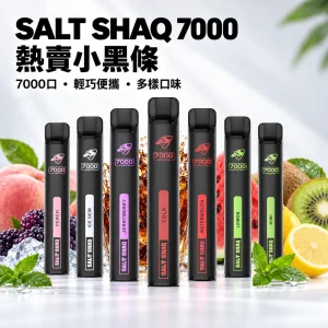 鯊克 SALT SHAQ 小黑條 拋棄式電子煙 7000口 500mAh 1.0Ω 19種口味